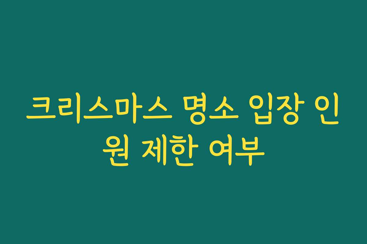 크리스마스 명소 입장 인원 제한 여부