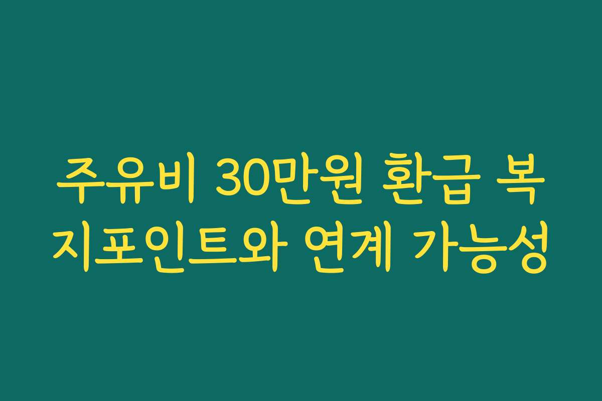 주유비 30만원 환급 복지포인트와 연계 가능성