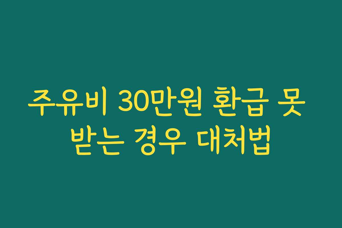 주유비 30만원 환급 못 받는 경우 대처법