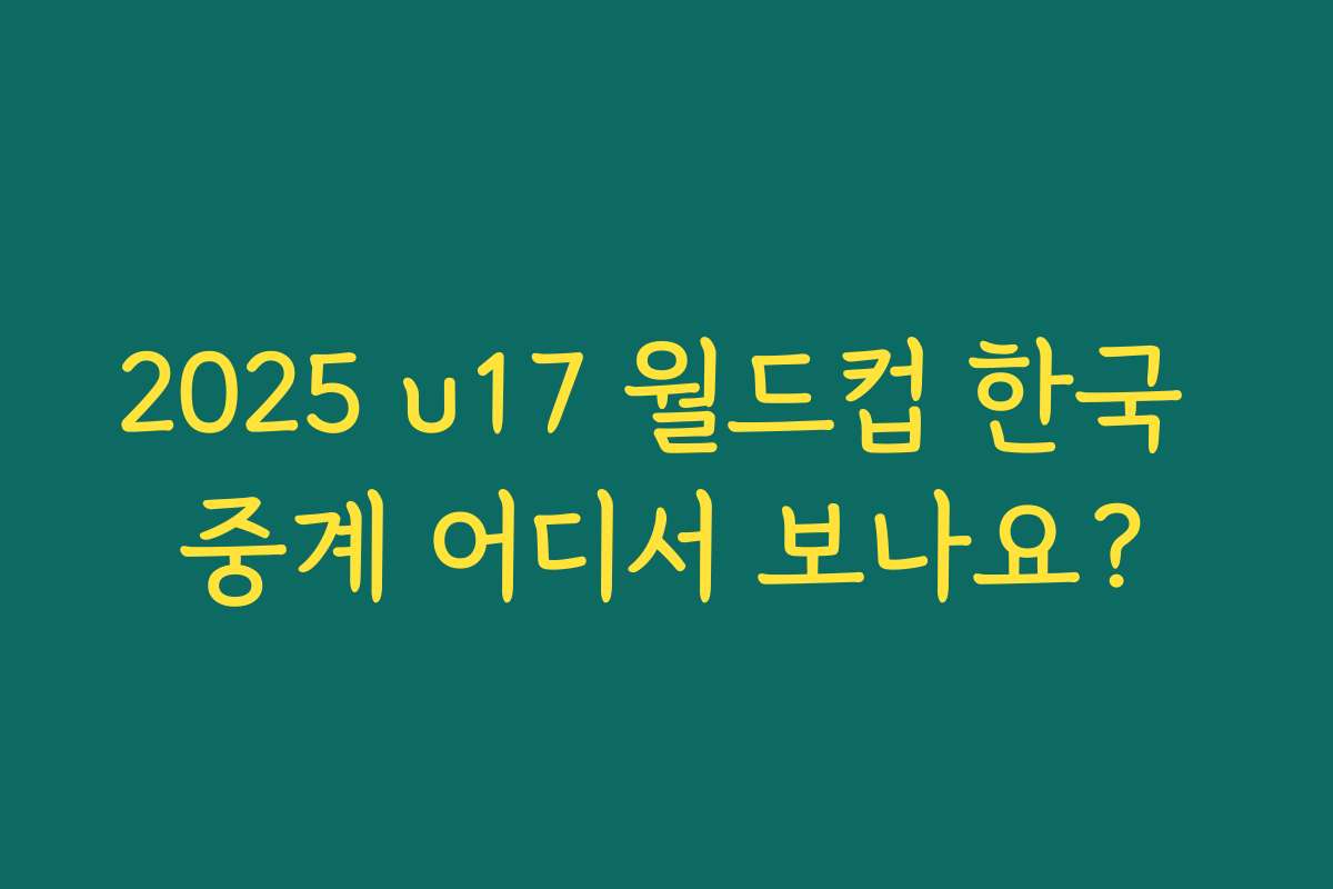 2025 u17 월드컵 한국 중계 어디서 보나요?