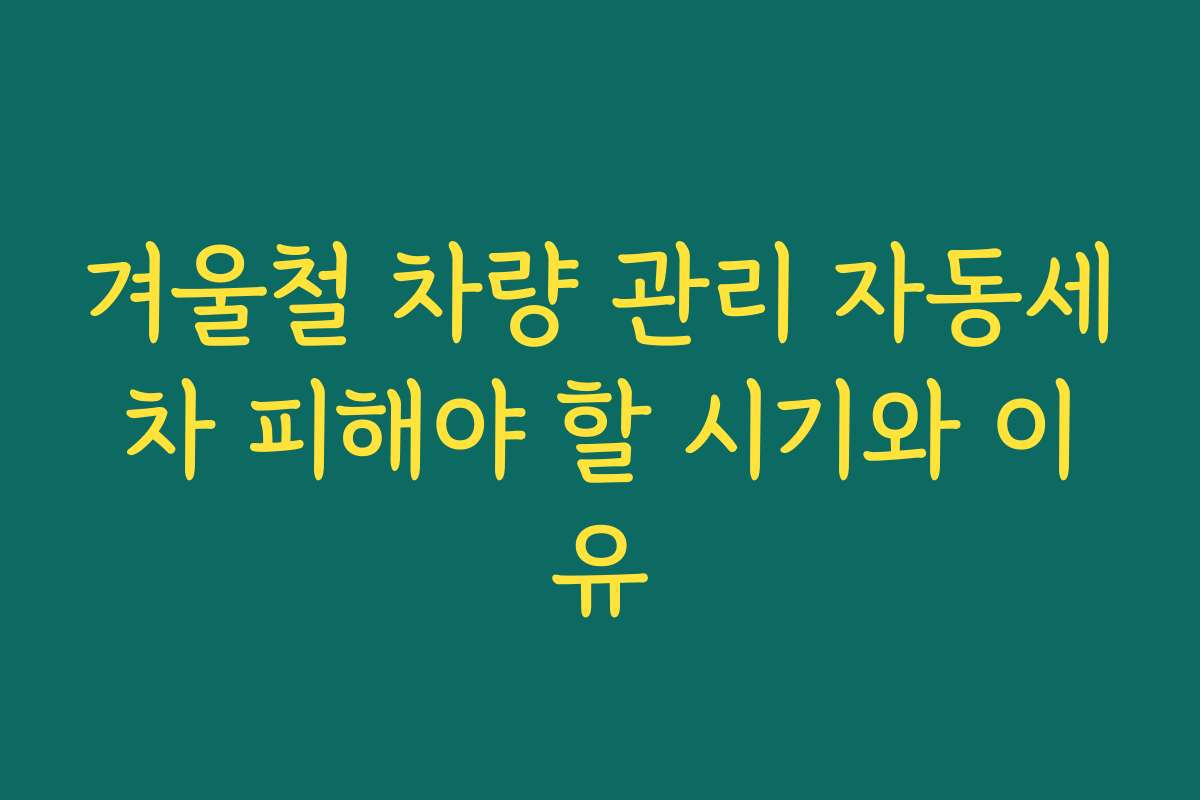 겨울철 차량 관리 자동세차 피해야 할 시기와 이유 겨울철 차량 관리 자동세차 피해야 할 시기와 이유