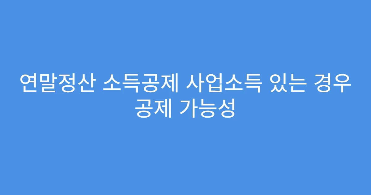 연말정산 소득공제 사업소득 있는 경우 공제 가능성