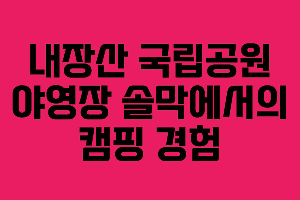 내장산 국립공원 야영장 솔막에서의 캠핑 경험