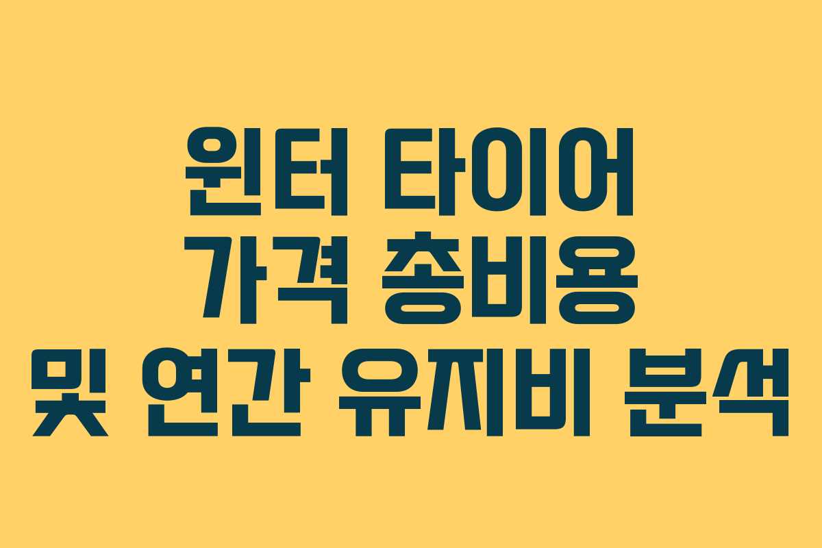 윈터 타이어 가격 총비용 및 연간 유지비 분석