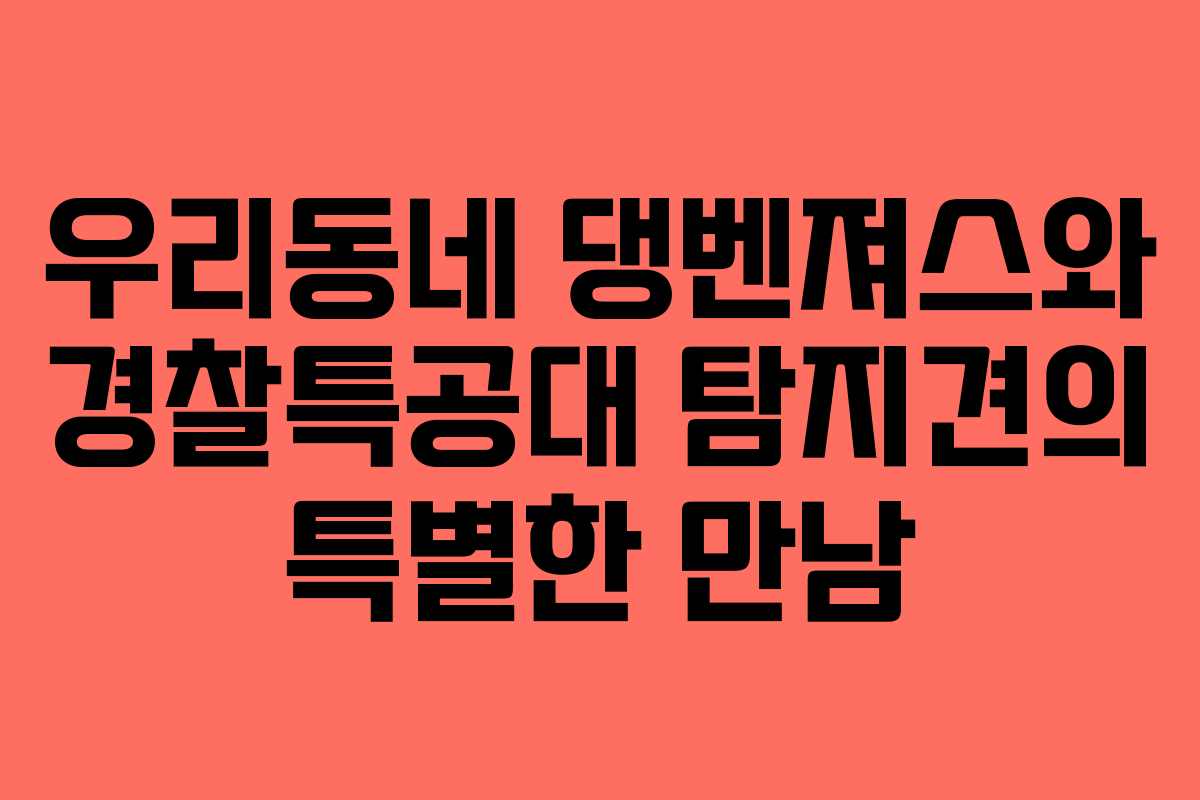 우리동네 댕벤져스와 경찰특공대 탐지견의 특별한 만남