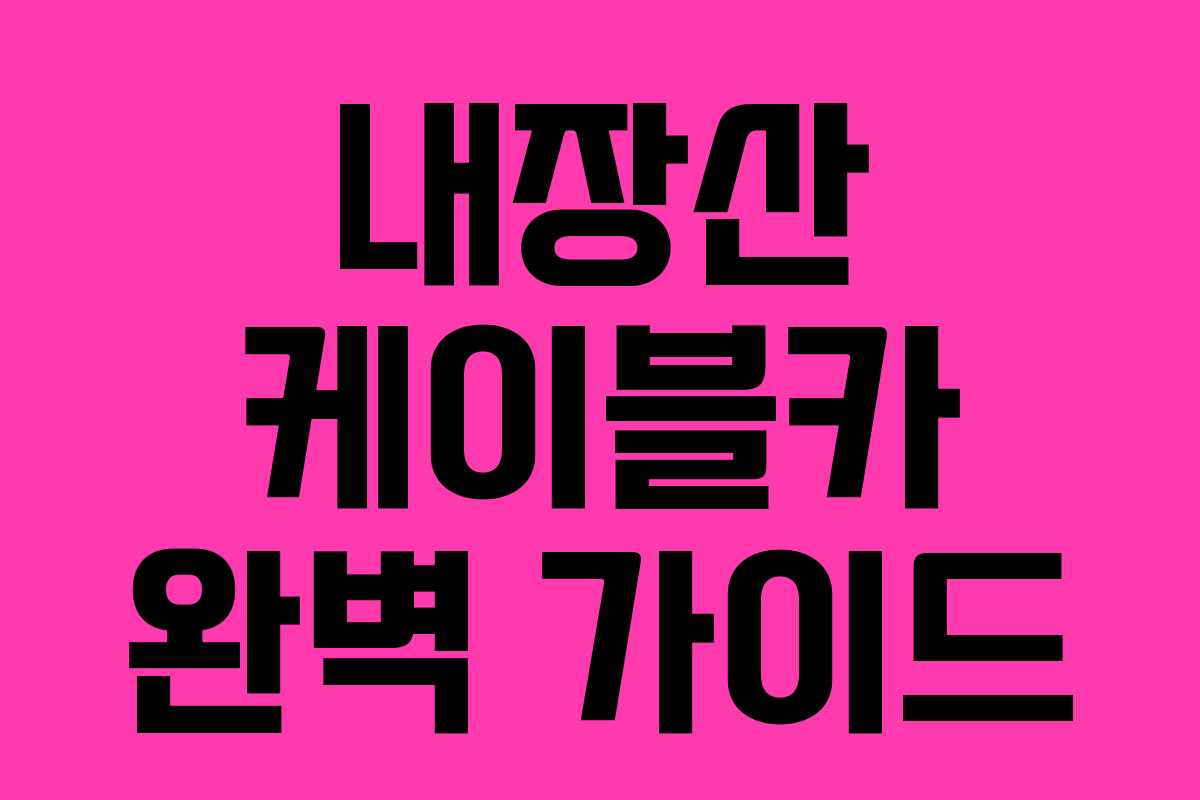 내장산 케이블카 완벽 가이드