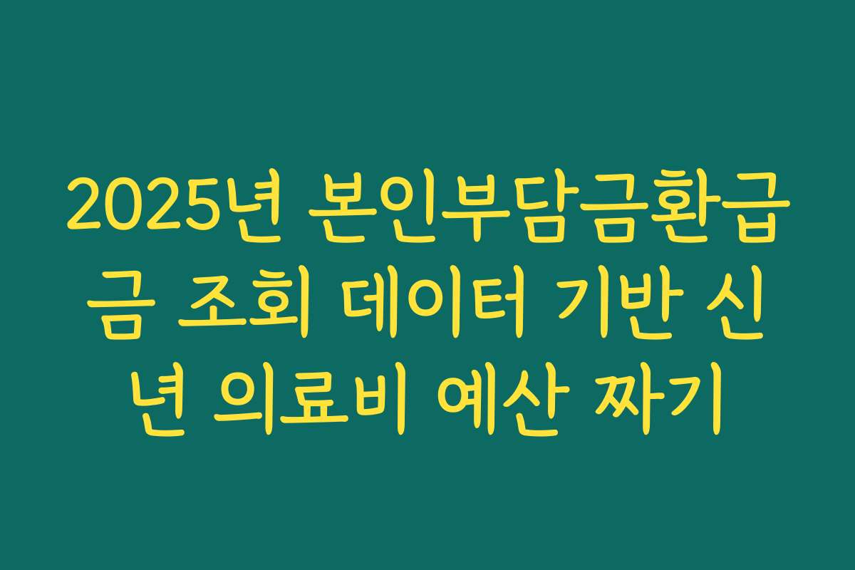 2025년 본인부담금환급금 조회 데이터 기반 신년 의료비 예산 짜기