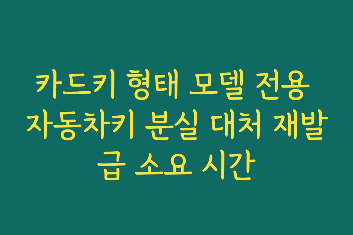 카드키 형태 모델 전용 자동차키 분실 대처 재발급 소요 시간