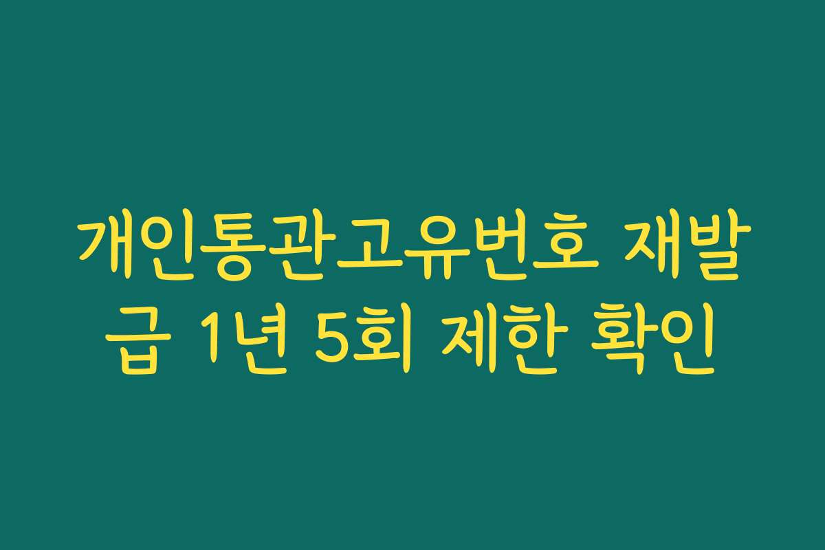 개인통관고유번호 재발급 1년 5회 제한 확인