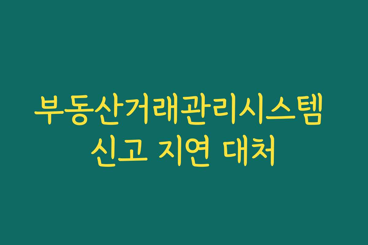 부동산거래관리시스템 신고 지연 대처