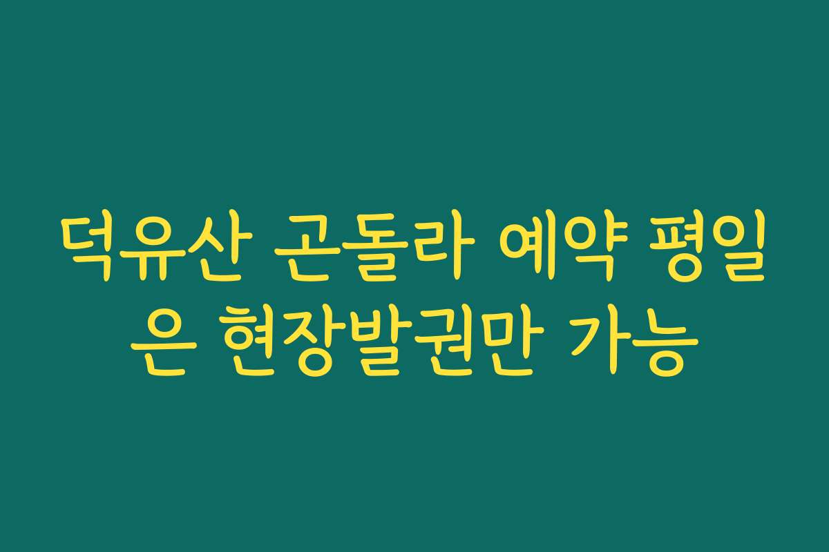 덕유산 곤돌라 예약 평일은 현장발권만 가능
