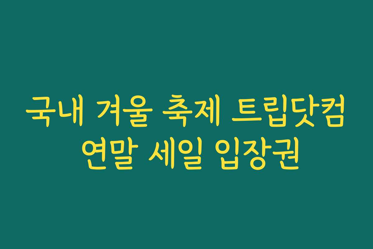 국내 겨울 축제 트립닷컴 연말 세일 입장권