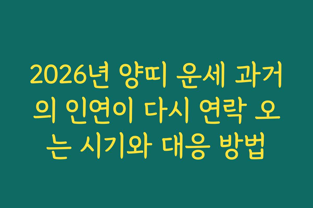 2026년 양띠 운세 과거의 인연이 다시 연락 오는 시기와 대응 방법