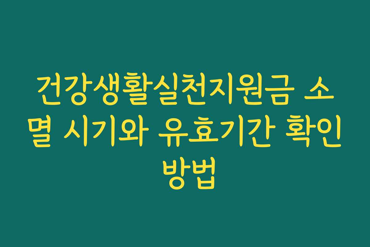 건강생활실천지원금 소멸 시기와 유효기간 확인 방법