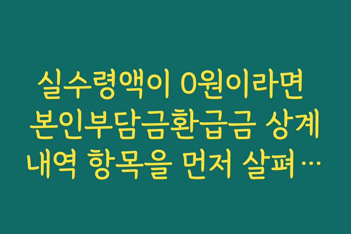 실수령액이 0원이라면 본인부담금환급금 상계내역 항목을 먼저 살펴보세요