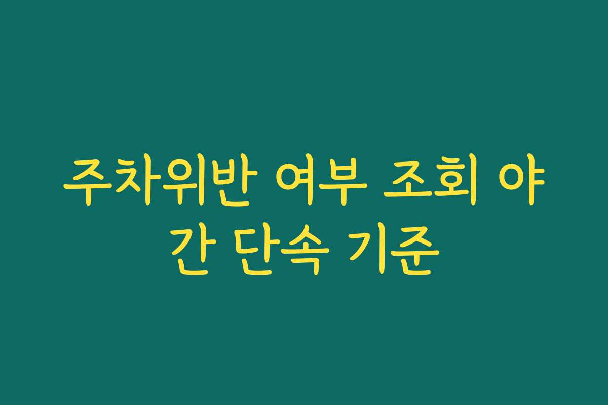 주차위반 여부 조회 야간 단속 기준