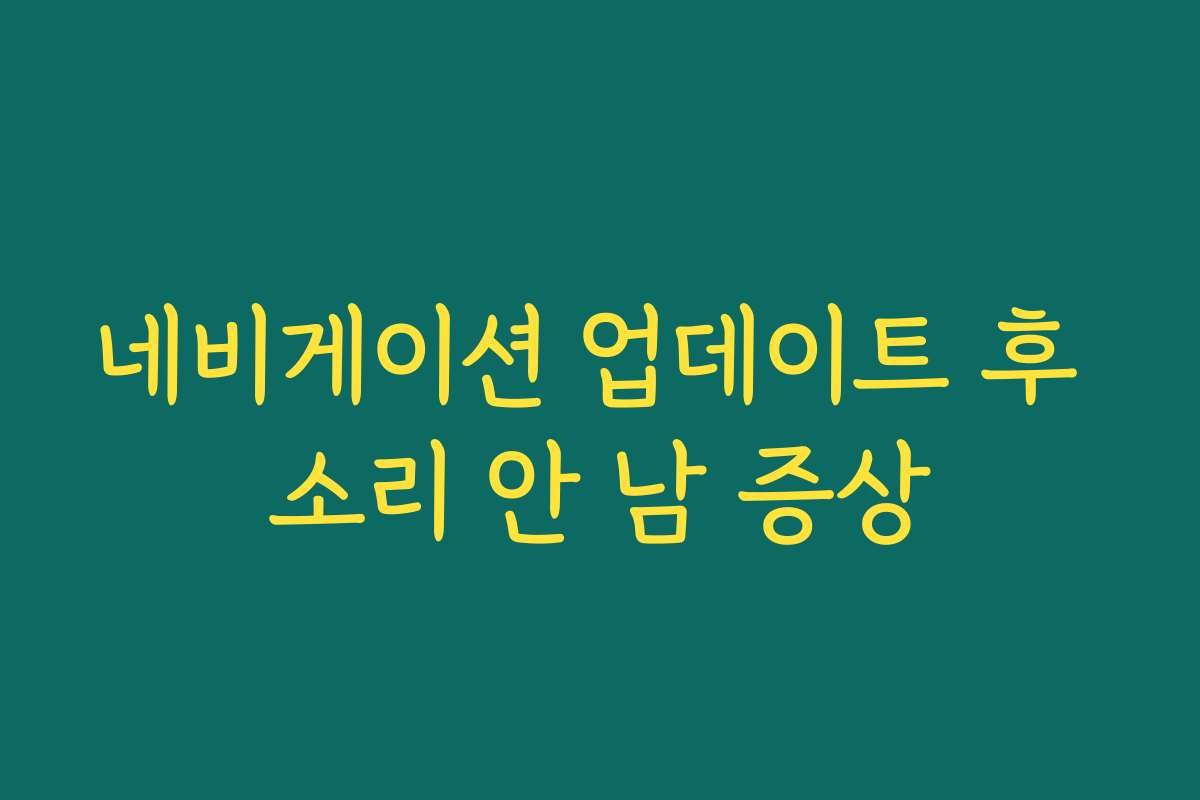 네비게이션 업데이트 후 소리 안 남 증상