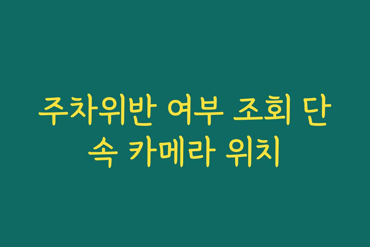 주차위반 여부 조회 단속 카메라 위치
