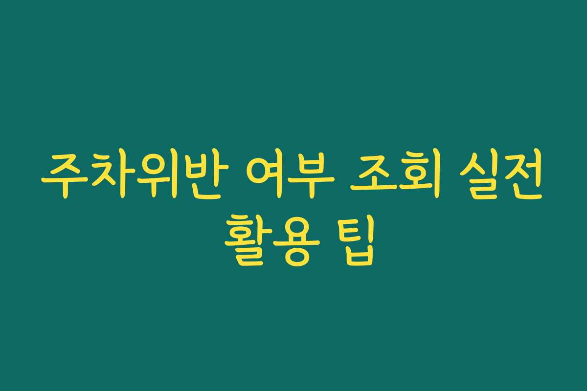주차위반 여부 조회 실전 활용 팁