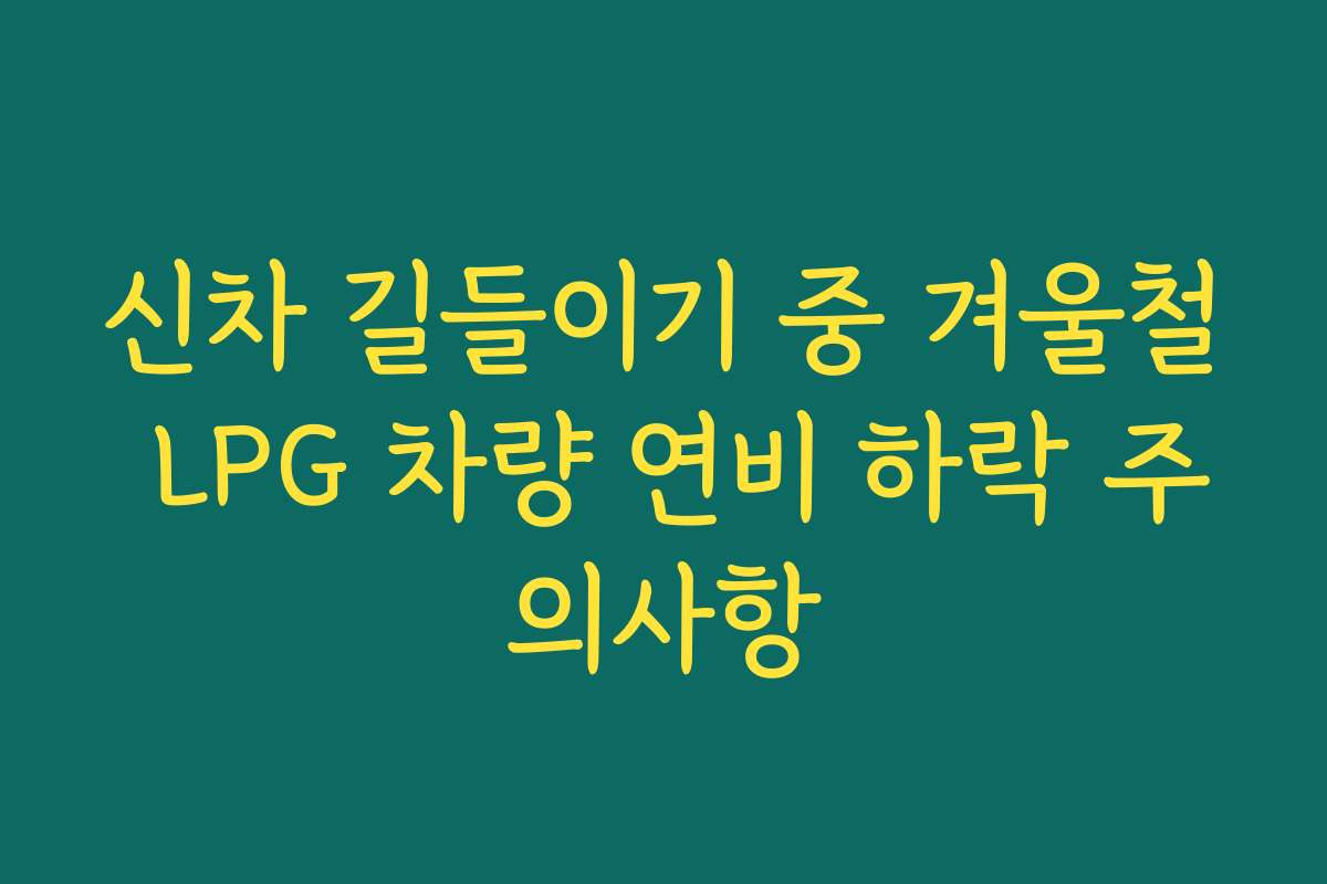 신차 길들이기 중 겨울철 LPG 차량 연비 하락 주의사항