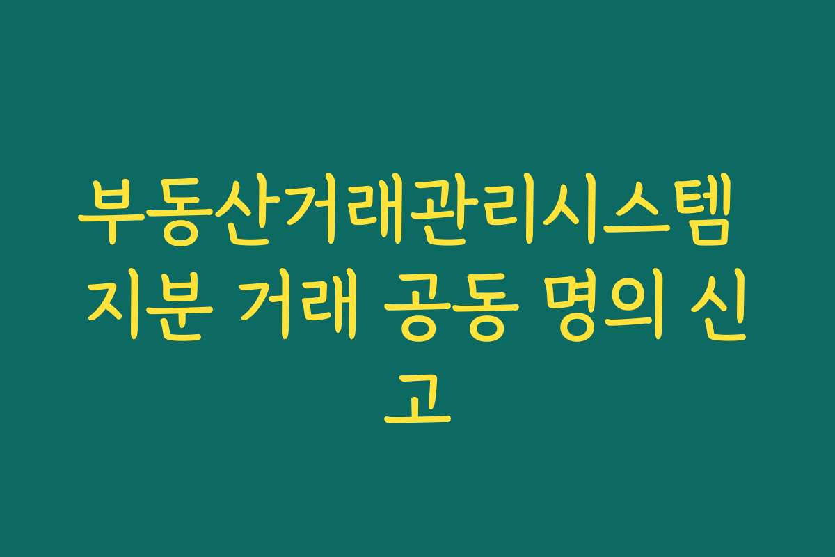 부동산거래관리시스템 지분 거래 공동 명의 신고