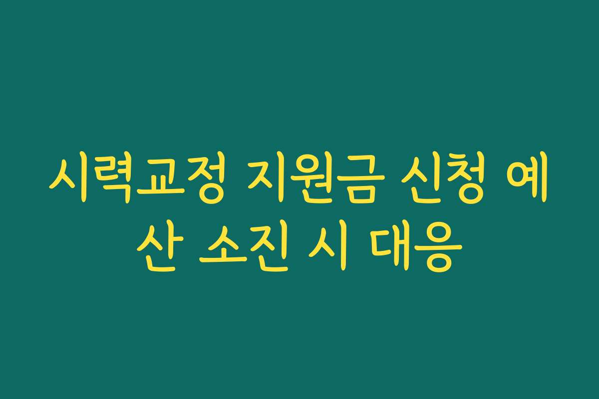시력교정 지원금 신청 예산 소진 시 대응