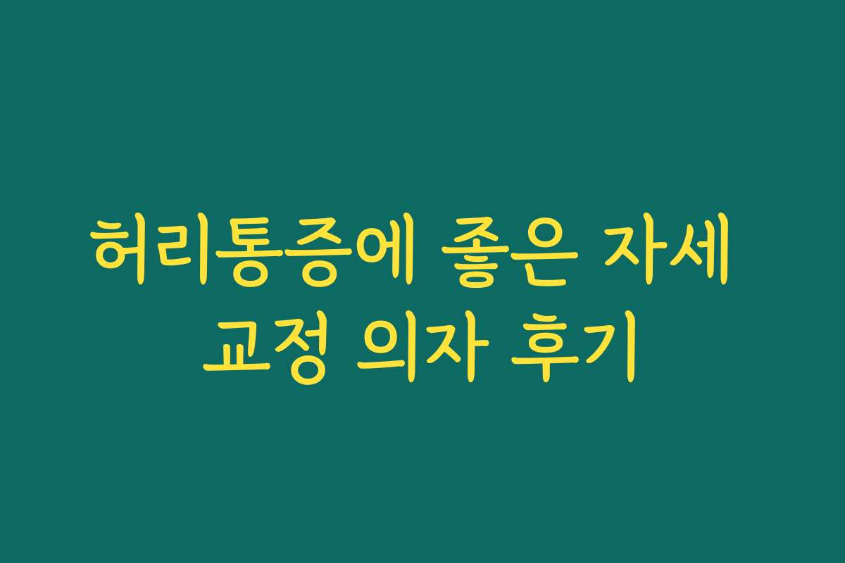 허리통증에 좋은 자세 교정 의자 후기