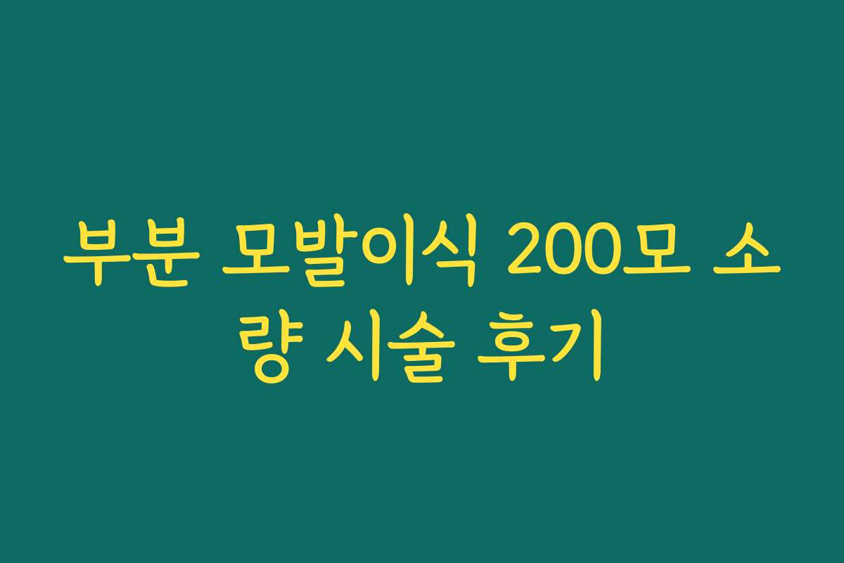 부분 모발이식 200모 소량 시술 후기