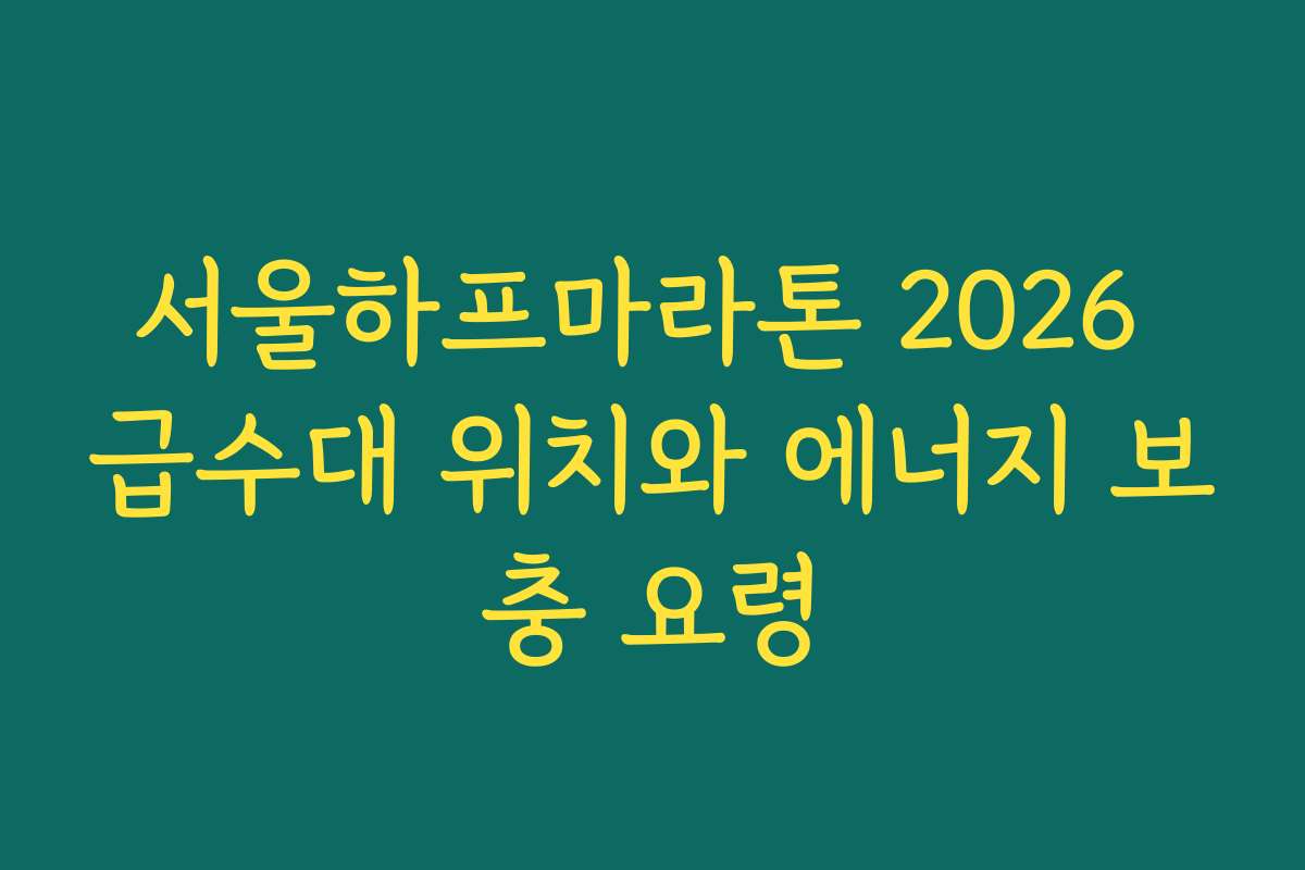 서울하프마라톤 2026 급수대 위치와 에너지 보충 요령