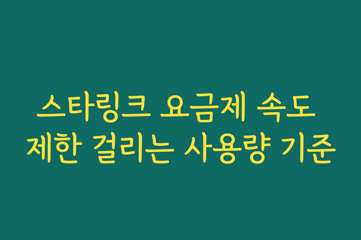 스타링크 요금제 속도 제한 걸리는 사용량 기준