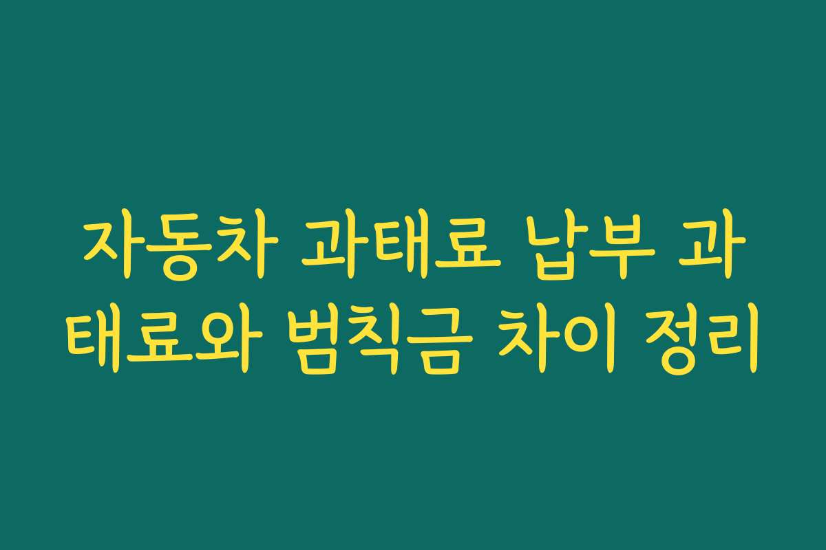 자동차 과태료 납부 과태료와 범칙금 차이 정리