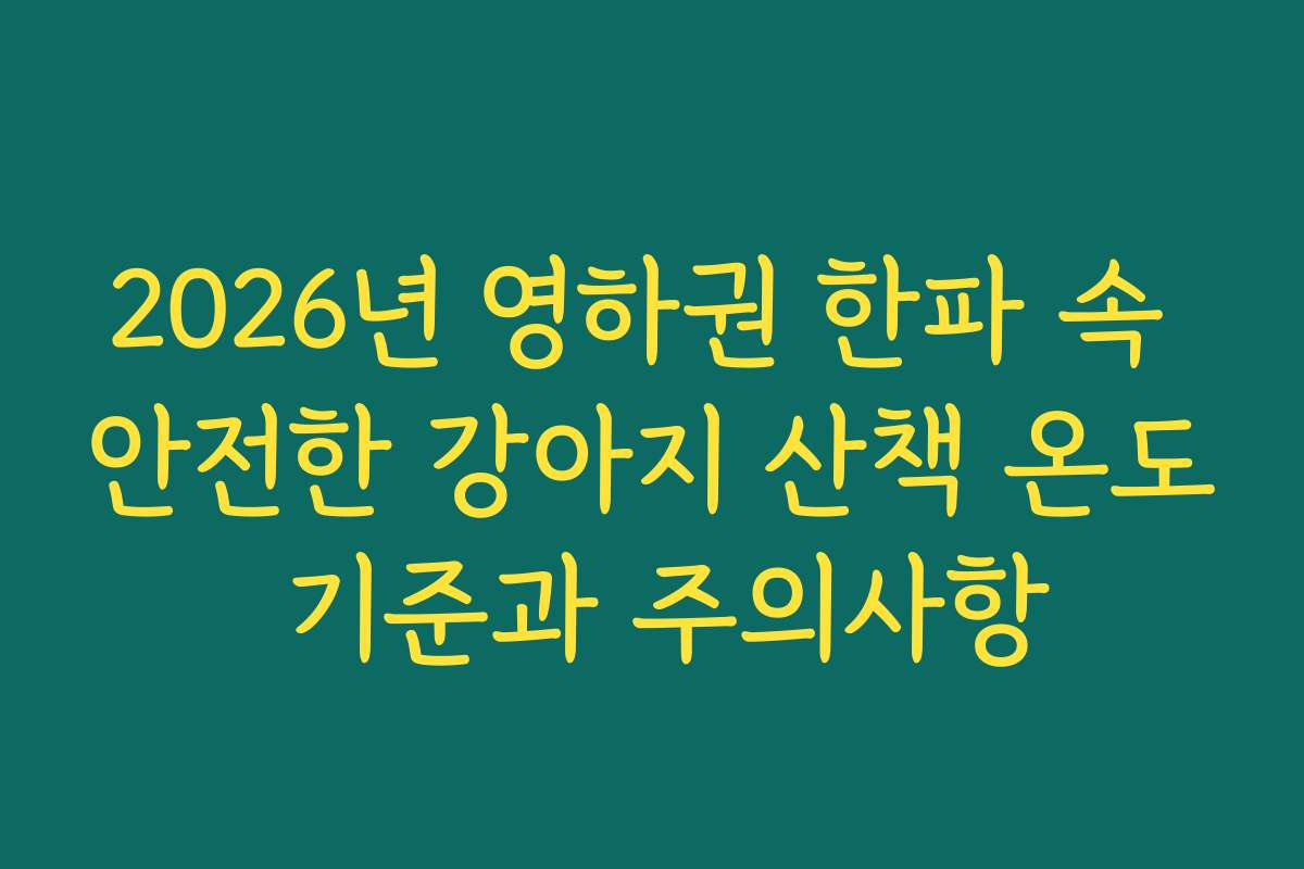 2026년 영하권 한파 속 안전한 강아지 산책 온도 기준과 주의사항