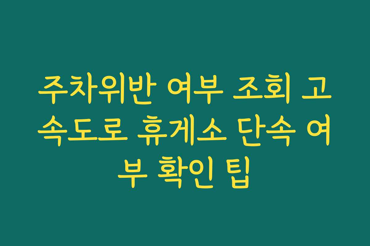 주차위반 여부 조회 고속도로 휴게소 단속 여부 확인 팁