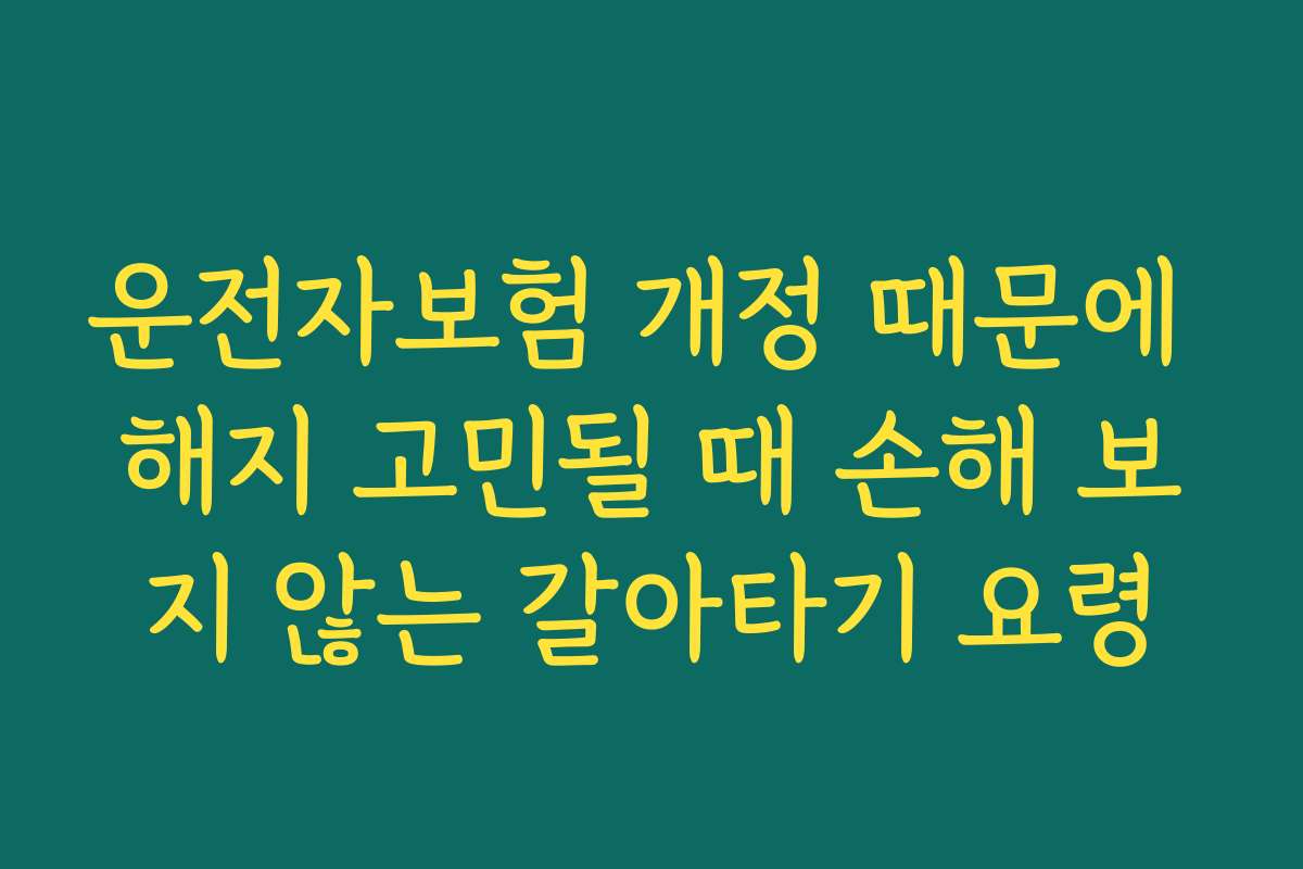 운전자보험 개정 때문에 해지 고민될 때 손해 보지 않는 갈아타기 요령