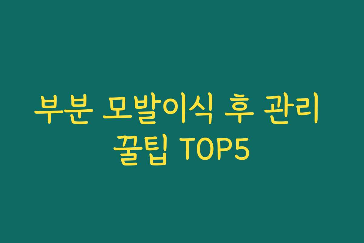 부분 모발이식 후 관리 꿀팁 TOP5