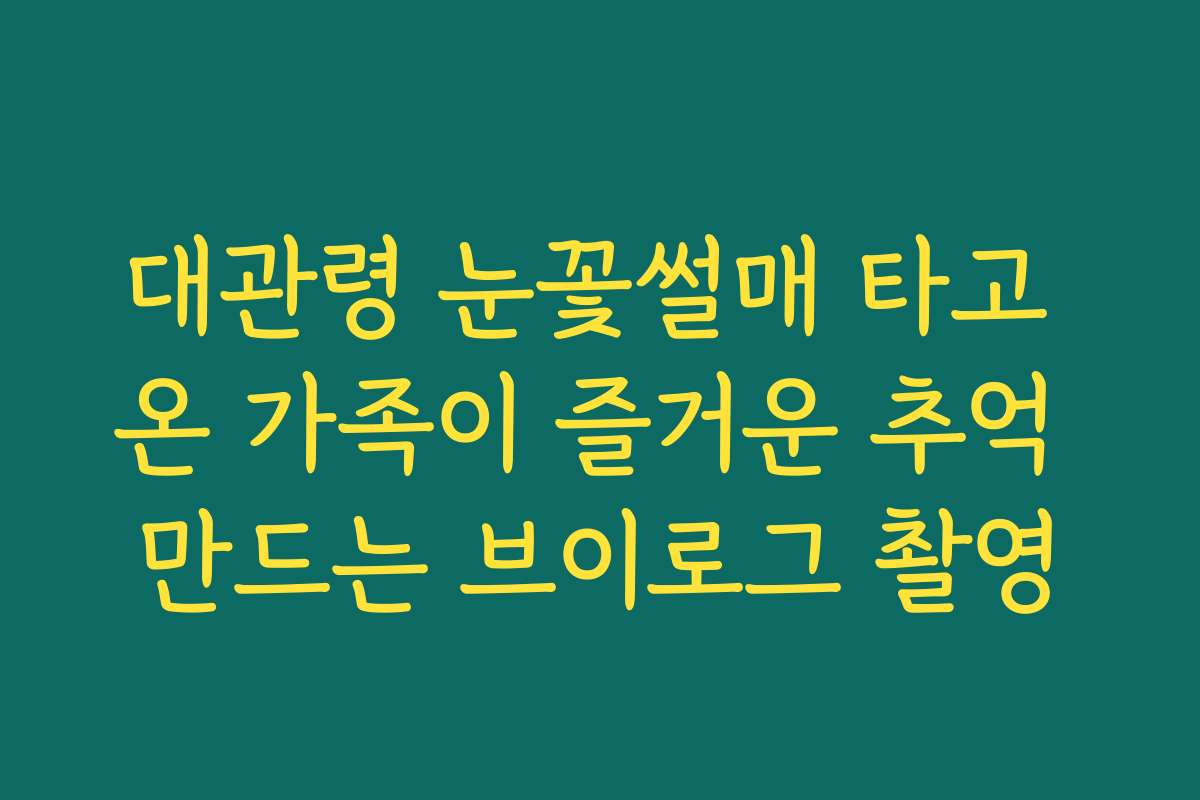 대관령 눈꽃썰매 타고 온 가족이 즐거운 추억 만드는 브이로그 촬영