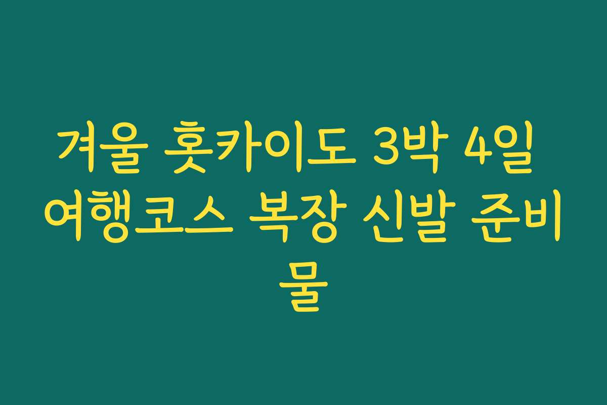 겨울 홋카이도 3박 4일 여행코스 복장 신발 준비물