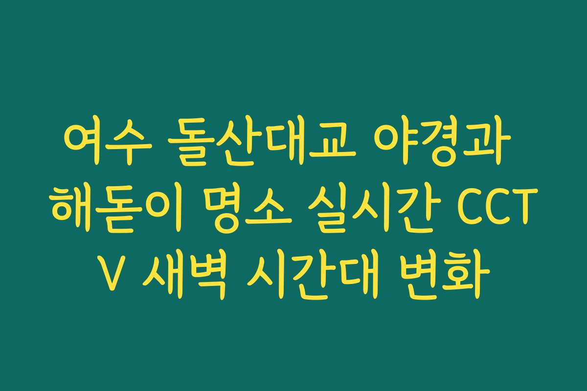 여수 돌산대교 야경과 해돋이 명소 실시간 CCTV 새벽 시간대 변화
