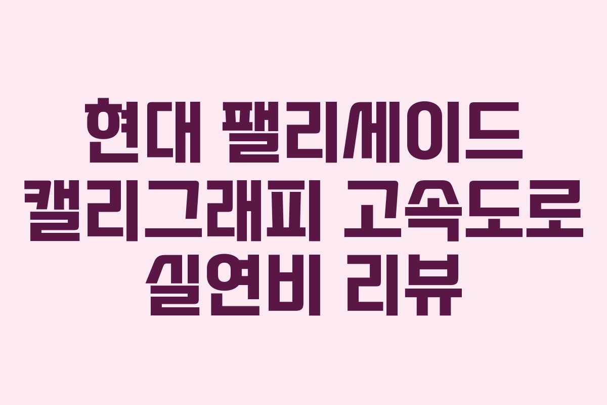 현대 팰리세이드 캘리그래피 고속도로 실연비 리뷰
