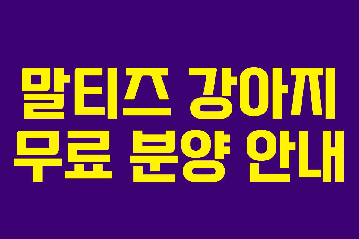 말티즈 강아지 무료 분양 안내