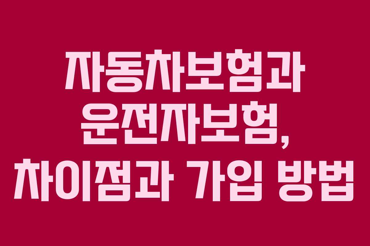 자동차보험과 운전자보험, 차이점과 가입 방법