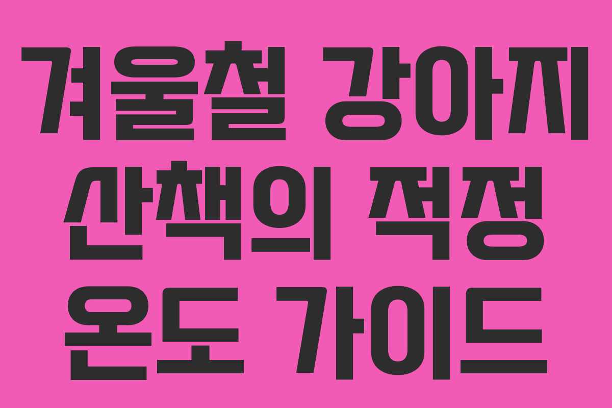 겨울철 강아지 산책의 적정 온도 가이드