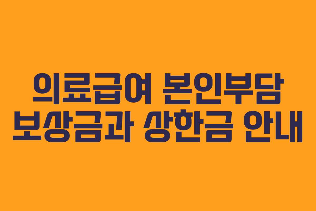 의료급여 본인부담 보상금과 상한금 안내