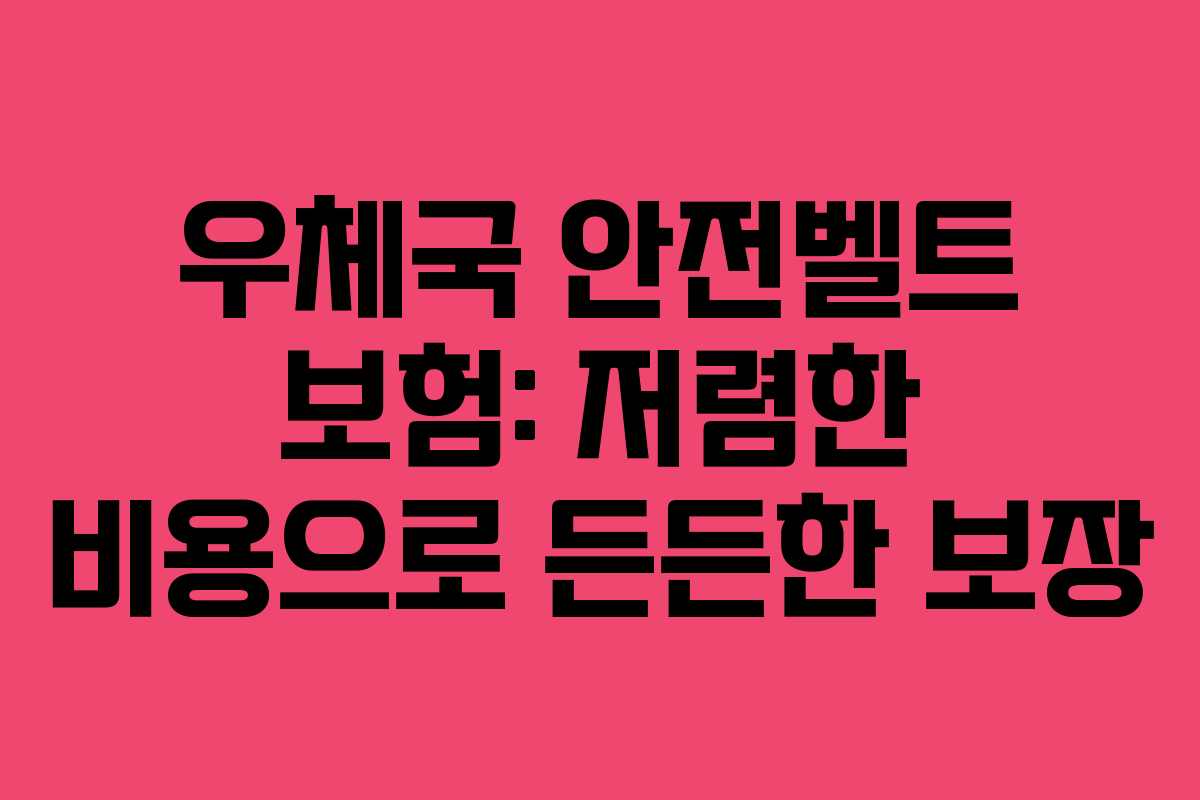 우체국 안전벨트 보험: 저렴한 비용으로 든든한 보장