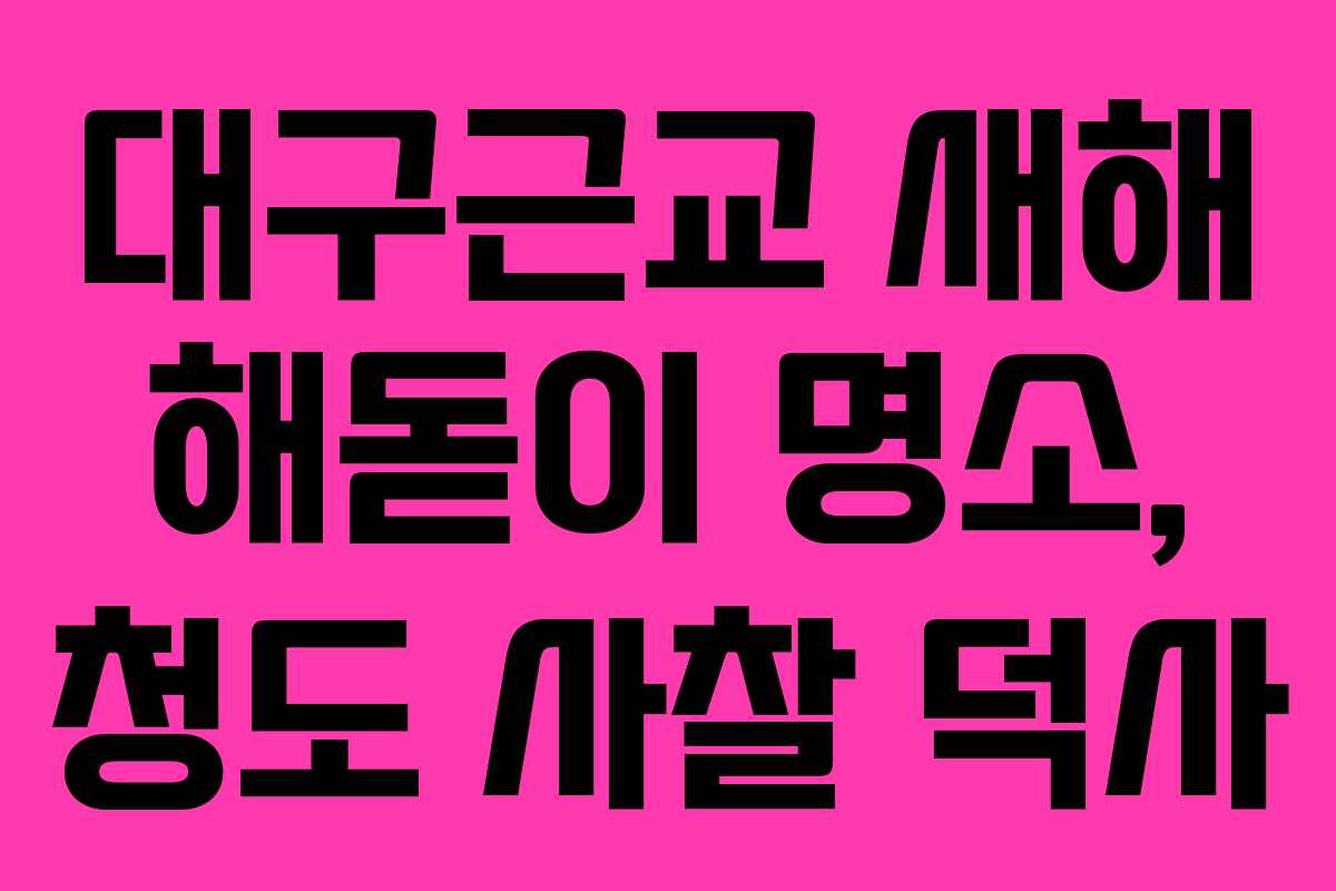 대구근교 새해 해돋이 명소, 청도 사찰 덕사