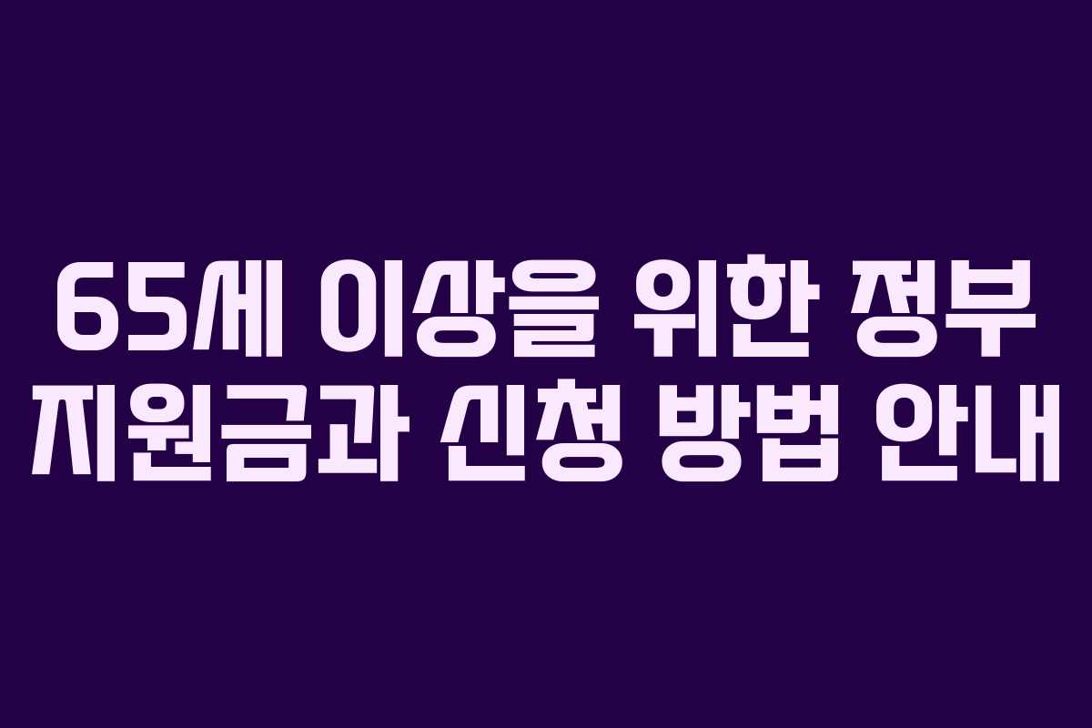 65세 이상을 위한 정부 지원금과 신청 방법 안내