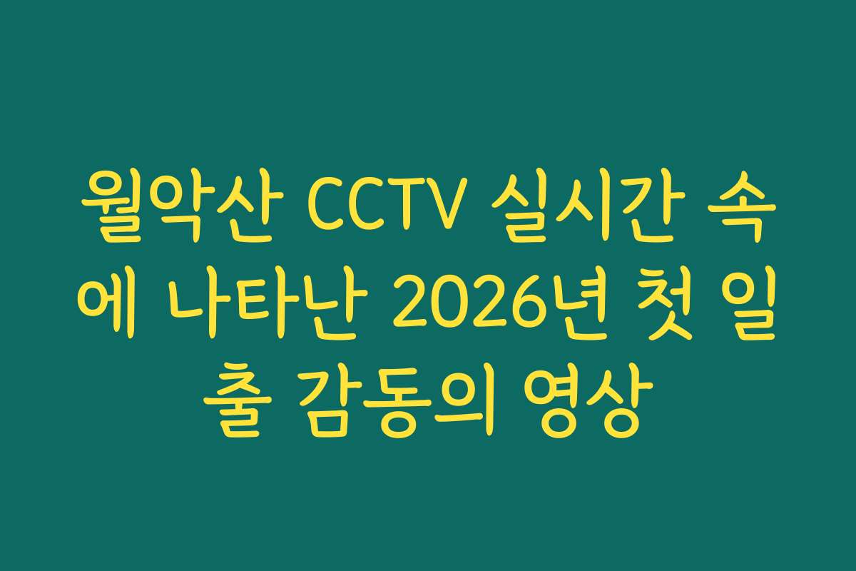 월악산 CCTV 실시간 속에 나타난 2026년 첫 일출 감동의 영상