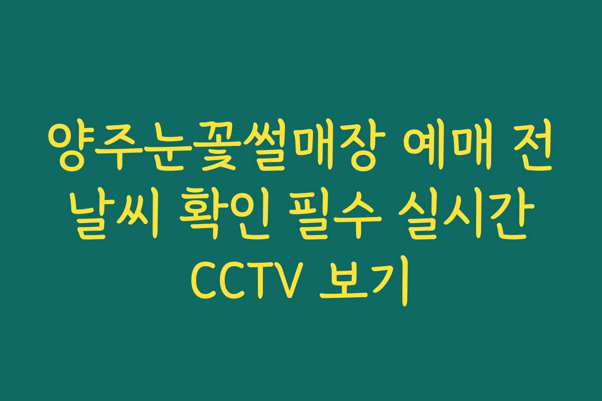 양주눈꽃썰매장 예매 전 날씨 확인 필수 실시간 CCTV 보기