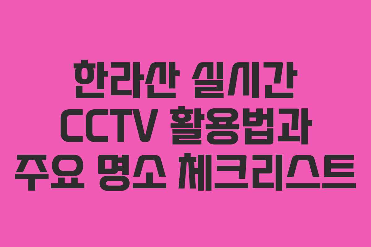 한라산 실시간 CCTV 활용법과 주요 명소 체크리스트