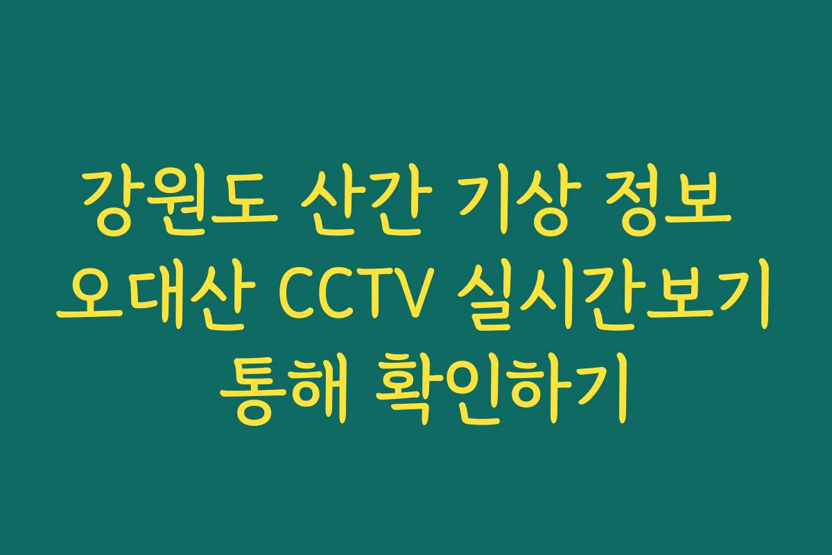 강원도 산간 기상 정보 오대산 CCTV 실시간보기 통해 확인하기
